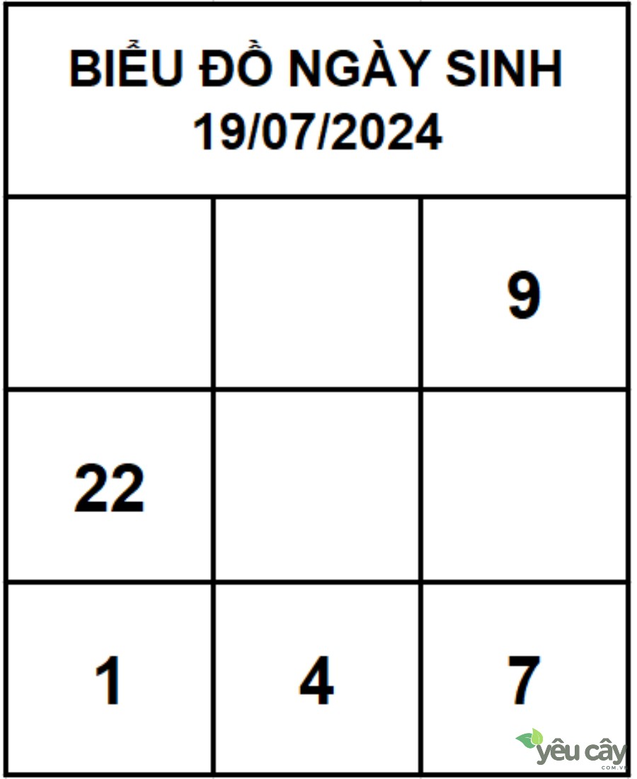 Biểu đồ ngày sinh