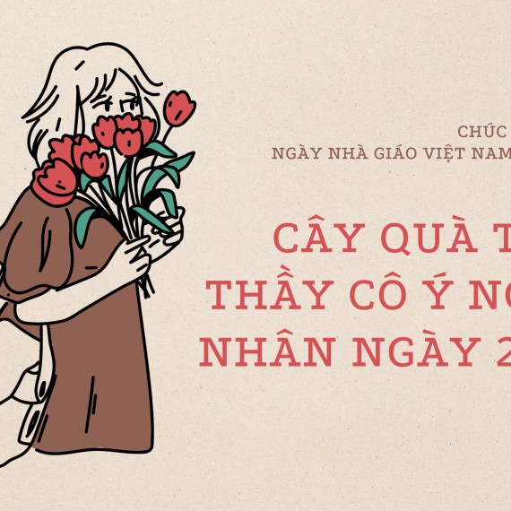 Cây Quà Tặng Thầy Cô Ý Nghĩa Nhân Ngày 20/11