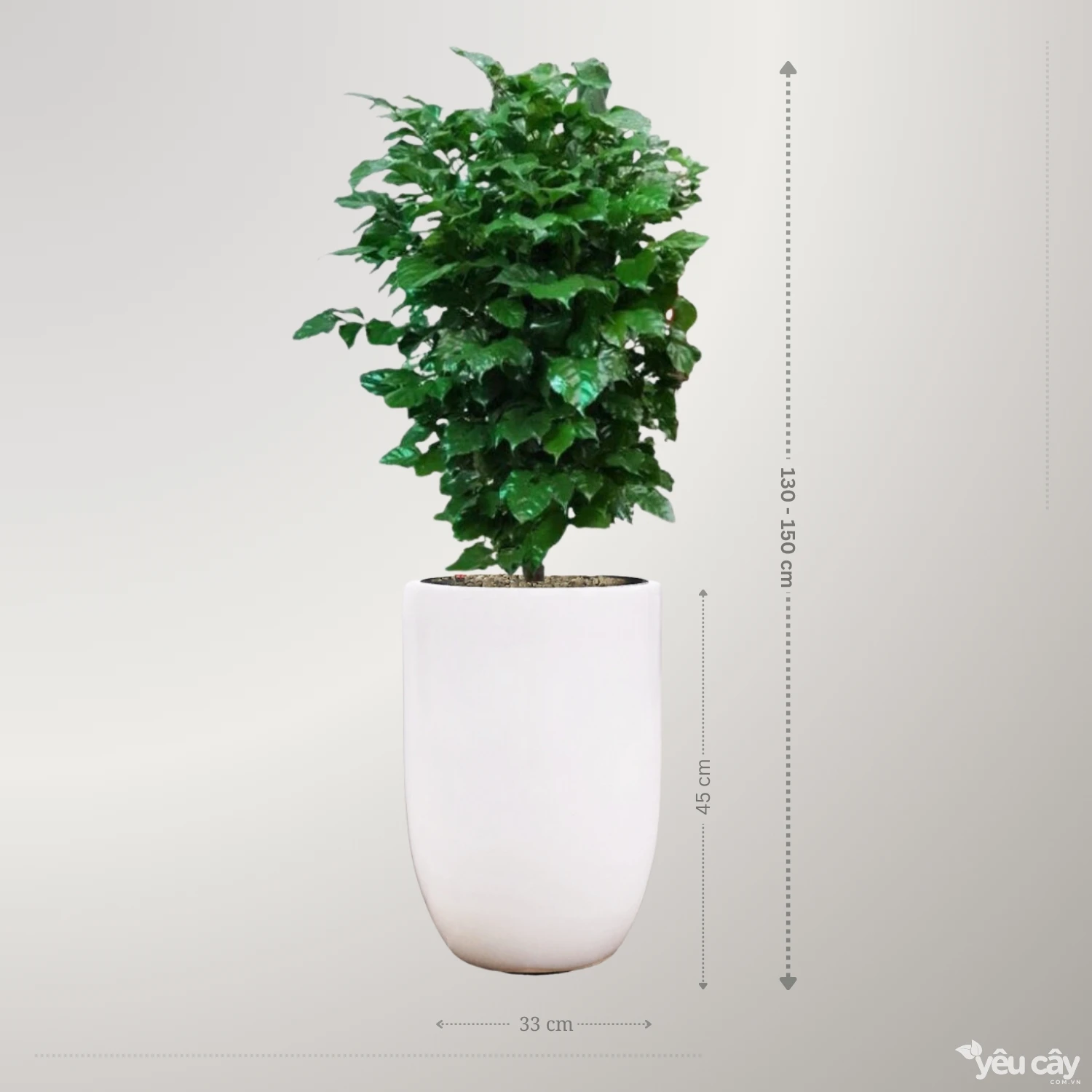 Cây Hạnh Phúc 1 Tầng